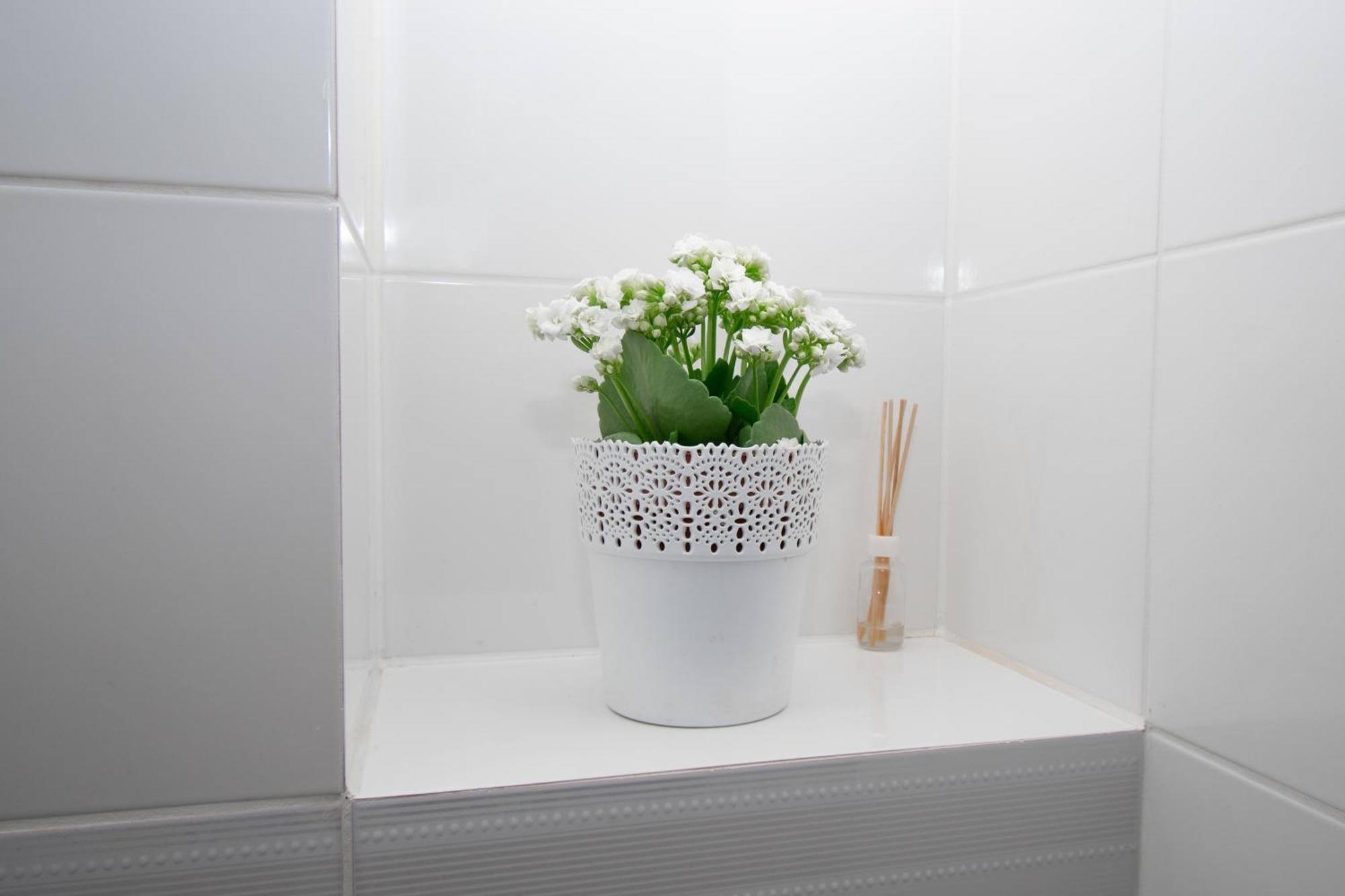 Apartament Przy Zdrojowej Ciechocinek Bagian luar foto